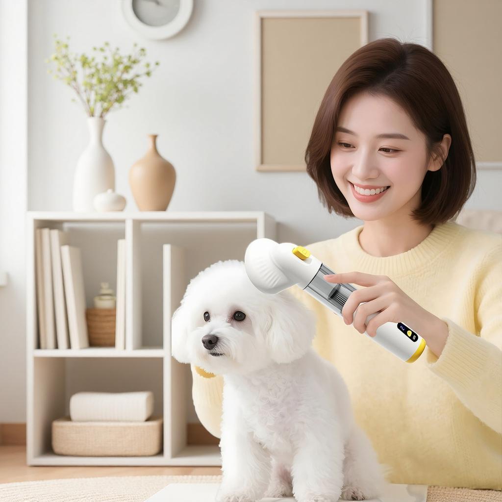Hot Sale Pet Hair Dryer Dog Grooming Dryer Brush 3 In 1 Hot Air Comb for Dog Hair Straightening and Combing Pet Supplies