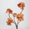 Fleurs Artificielles Clivia Miniata Multicolores Toucher Réel Pétales en Soie PU Fleur de Simulation Longue Tige Fausse Fleur Cadeau