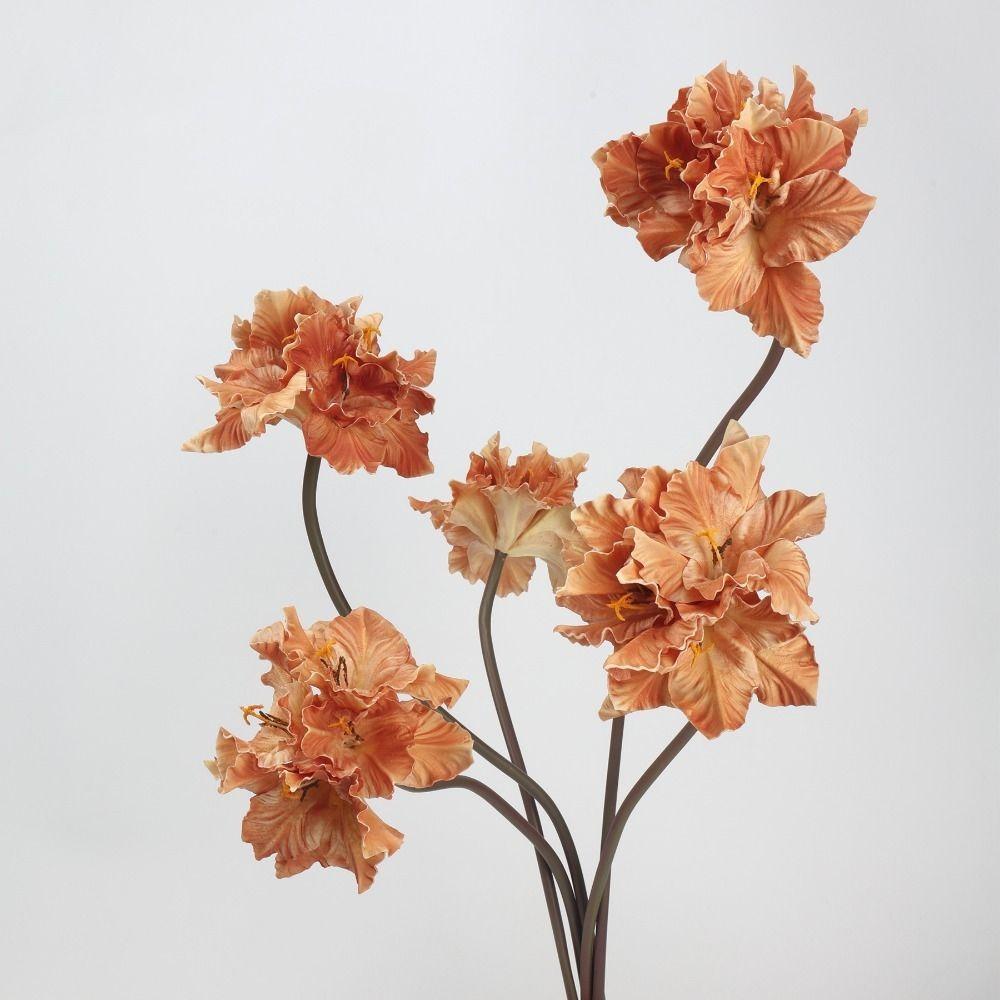 Fleurs Artificielles Clivia Miniata Multicolores Toucher Réel Pétales en Soie PU Fleur de Simulation Longue Tige Fausse Fleur Cadeau