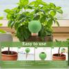4Pcs Plant Watering Globe 150ml Automatic Watering Spike Flower Pot Self Watering Device Drip Irrigation System Garden Decor