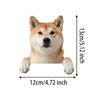 2 kusy 12x13cm Shiba Inu 2D plochá vinylová nálepka - Roztomilý Roztomilý Roztomilý pes