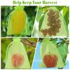100/10PCS Fruit Insect-proof Gauze Bags Fruit Netting Cover Drawstring Mesh Bags Protect Fruit Vegetable From Birds and Insect