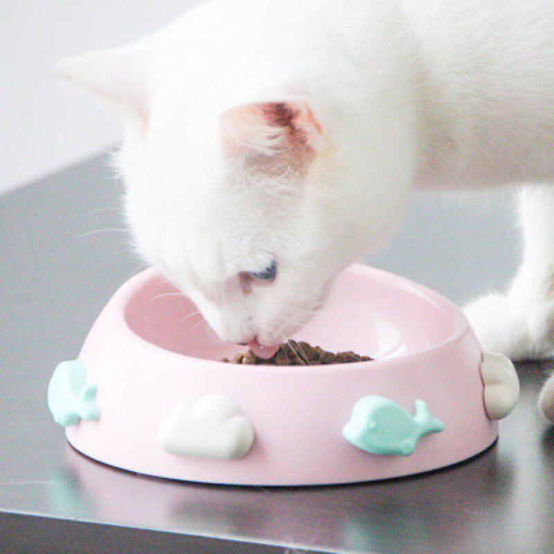 slow down cat feeder