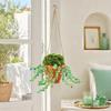 Kit per Piante Verdi con Perline e Vaso in Ceramica, Kit Fai-da-te per Creare Piante in Vaso con Perline, Acchiappasole da Appendere alla Finestra, Decorazione per Casa, Giardino, Auto