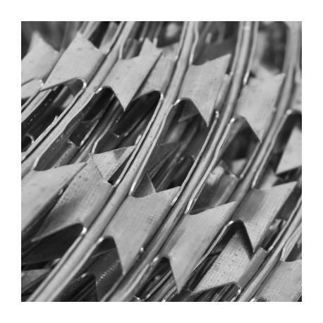 VidaXL Fil de fer barbelé NATO Rouleau hélicoïdal Acier galvanisé 60 m