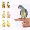 Parrot Cockatiel Pigeons Diaper Cute Bowtie Colorful Fruit Floral Washable Flight Suit for Small Medium Pet Birds NXLYP02