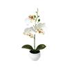 Artificial Orchid, Home/Office Decoration - Display of Living Room Dining Table, Entrance Flower Decoration, Not Easy to Fade