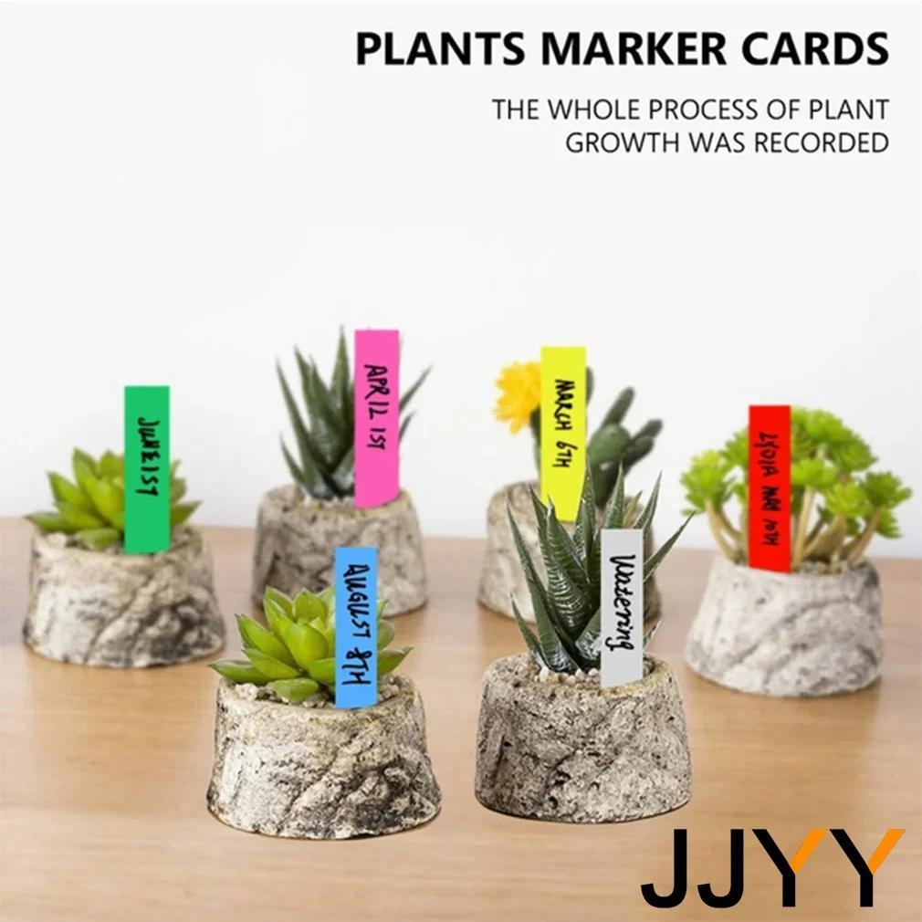 100pcs Waterproof PVC Plant Label Markers for Garden Plants Classification Sorting Sign Tags Nursery Labels