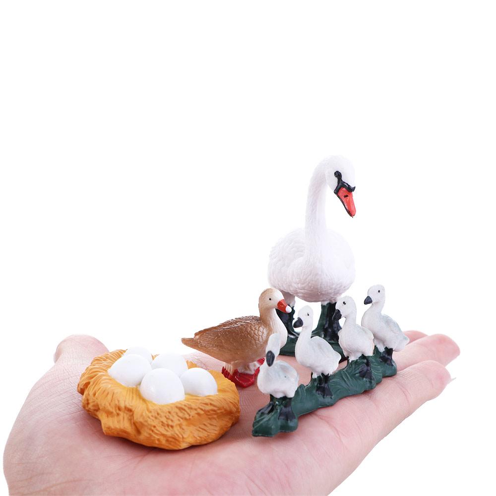 Toys Swan Model Life Cycle Figures Cycle Duck Figurine Growth Cycle Simulation White Goose