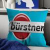 Burstner Cushion Cover Car Throw Pillow Case For Sofa Car Christmas Gift 40x40cm 45x45cm