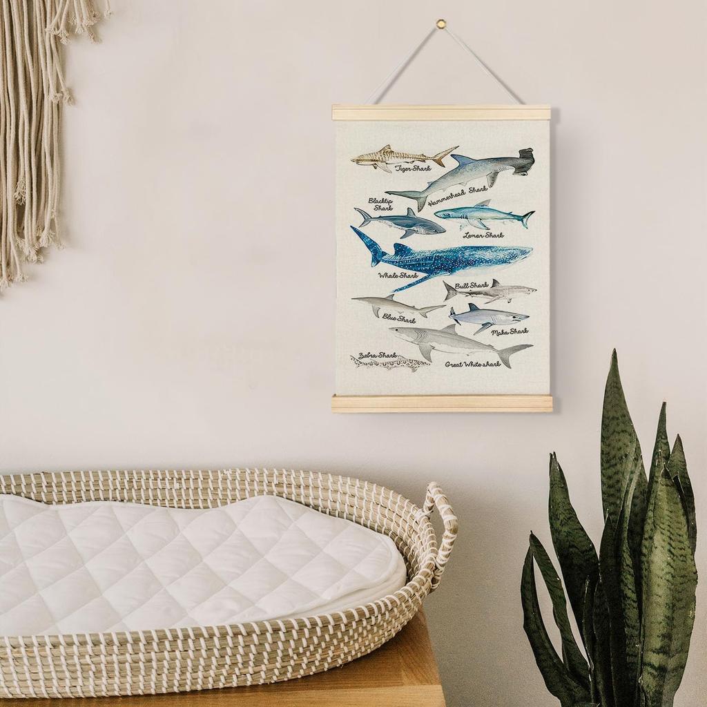 Qvapt Sea Animals Shark Posters - Shark Faces Wall Art Print, Sea Life Poster, Educational Poster for Kid Room Classroom Decor, Posters 12x16 with