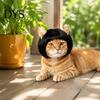 Holiday Costume for Small Animals Funny Dog Wig Medium Large Dogs, Pet Photography Styling Tools with Adjustable Elastic Band Cosplay, Halloween,