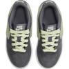 New Nike Dunk Anti Slip Wear Resistant Low Top Kids' Skateboarding Shoes Gray Children Aged 3 7 Years Old HQ3241-068