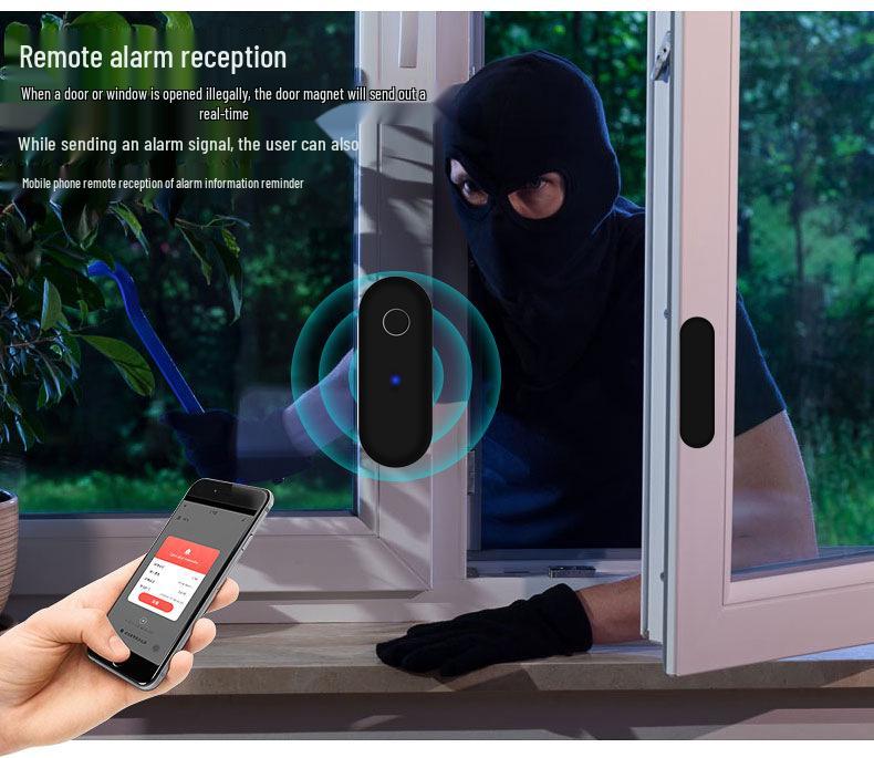 Graffiti Smart WiFi Door/Window Sensor & Intrusion Detector with Mobile App Monitoring - Black