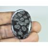 55Cts. Natural Black Fossil Coral Oval Cabochon Loose Gemstone 28X41X05 MM B-335