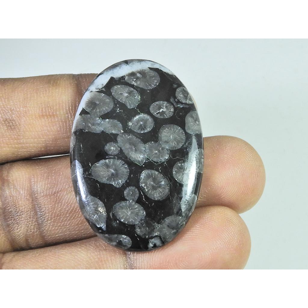 55Cts. Natural Black Fossil Coral Oval Cabochon Loose Gemstone 28X41X05 MM B-335