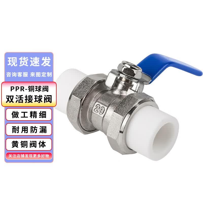 Naixin PPR Double Union Ball Valve
