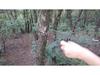 Portable Outdoor Pocket Wire Saw with Plastic Handles - Survival Chainsaw for Camping and Logging