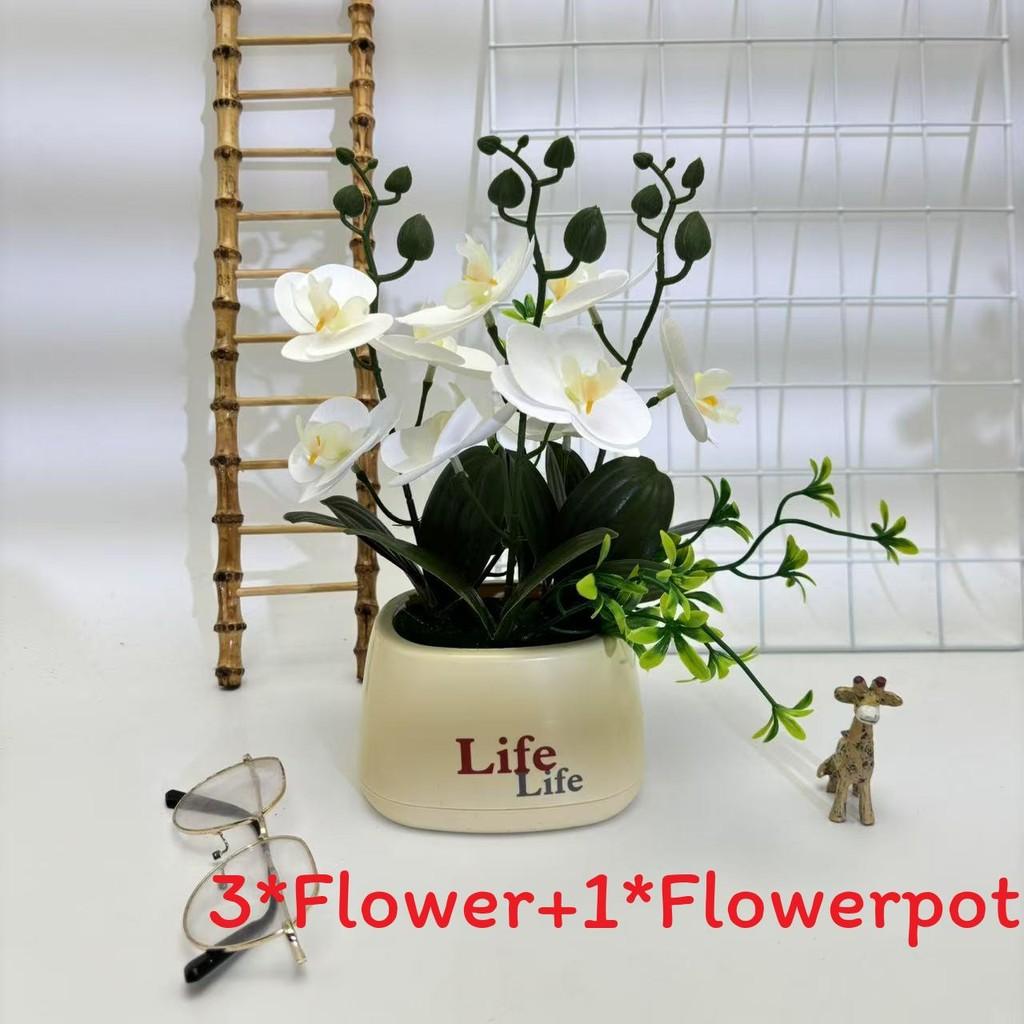 Butterfly Orchid Artificial Plant For Photography Decor And Home Styling