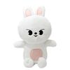 Nuovo Peluche SKZOO da 45cm Kawai Cartone Animato Animale di Peluche Bambola di Peluche Cuscino per Dormire Collezione Regalo