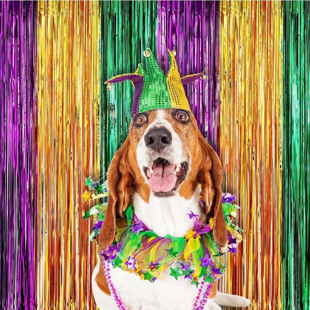 2 Pack Mardi Gras Foil Curtains Metallic Fringe Curtains Shimmer Curtain for Birthday Wedding Party Mardi Gras Party Decorations