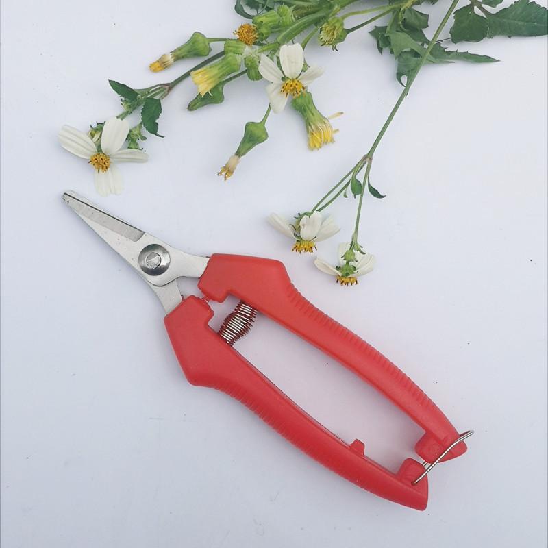 Gartenschere, Topfzweigschere, Obstpflücker, kleine Schere, Haushaltshandwerkzeuge, Obstgarten, Bauernhof, Gartengeräte