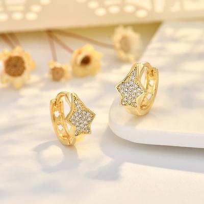 Nuovi Orecchini alla Moda per Donna con Design di Nicchia Orecchini a Stella in Zircone