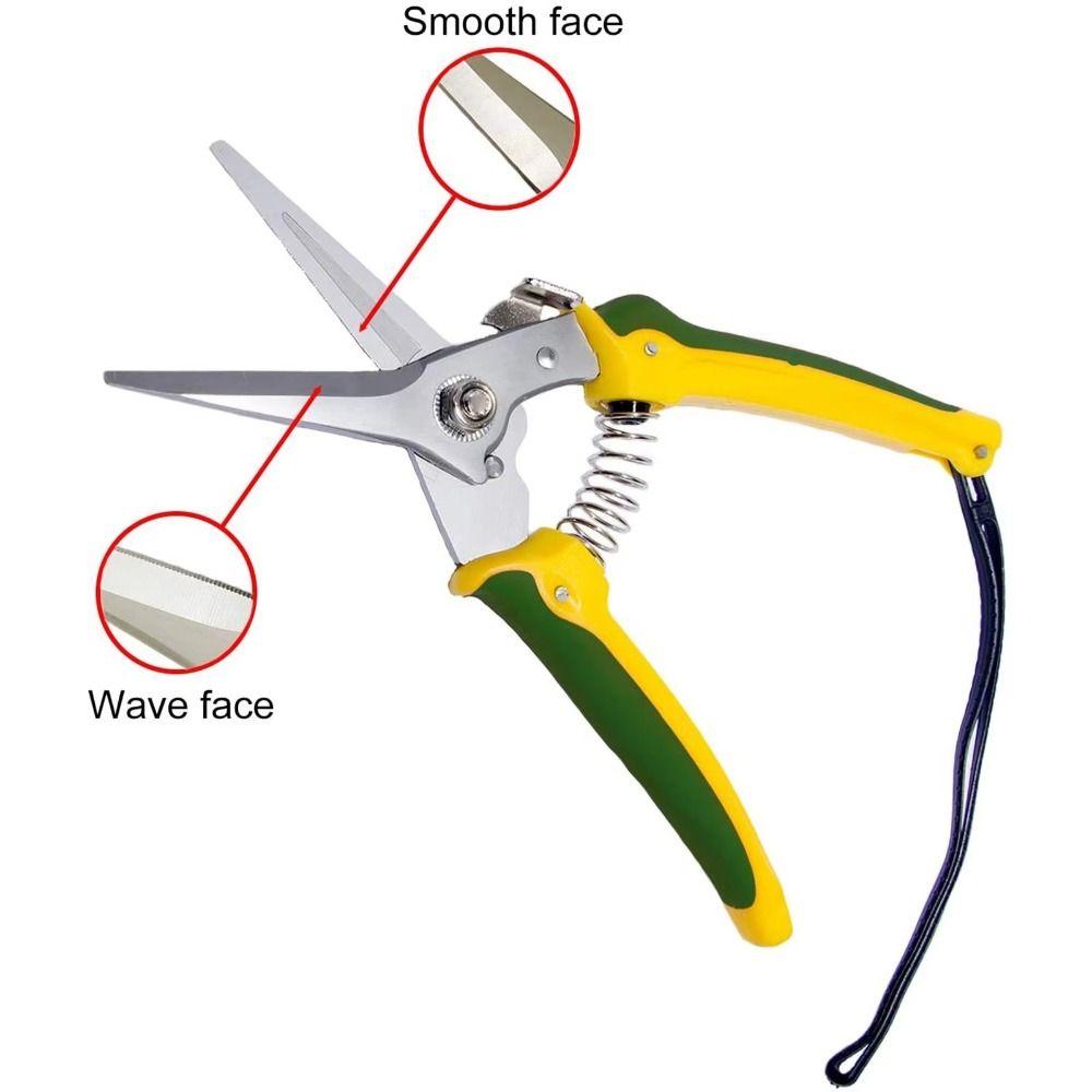 Stainless Steel Garden Pruner Safe Lock Tree Branch Trimmer Scissors Pruning Shears  Fruit Picking