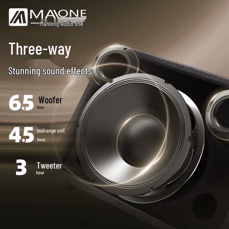 Manlong Portable Outdoor Karaoke Amplifier GT-001