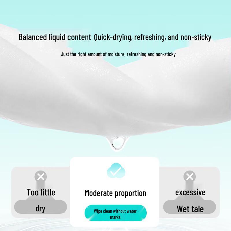 SanZhe Electronics Cleaning Kit