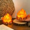 Mini Cute Cartoon Campfire Silicone Night Light, Creativity LED Flame Simulation Log Lamp, Soft Glow Bedroom Ambience Decor Toys