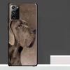 Great Dane Dog Case For Samsung Galaxy S23 S24 S25 Ultra S9 S10 S20 S21 S22 Plus S23 FE S25 FE Phone Cover