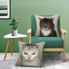 Lustige und interessante Tiere – Kissenbezug für bequemes Sofa oder Bett. Seidig-elegant, mit unsichtbarem Reißverschluss. Dekorativer Kissenbezug
