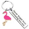 Inspirational Gift Flamingo ‘Never Forget How Flamazing’ Stainless Steel Keyring