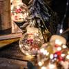 Christmas Transparent Wish Ball Curtain Lights, LED Snowman Decorative String Lights, Holiday Atmosphere Lighting
