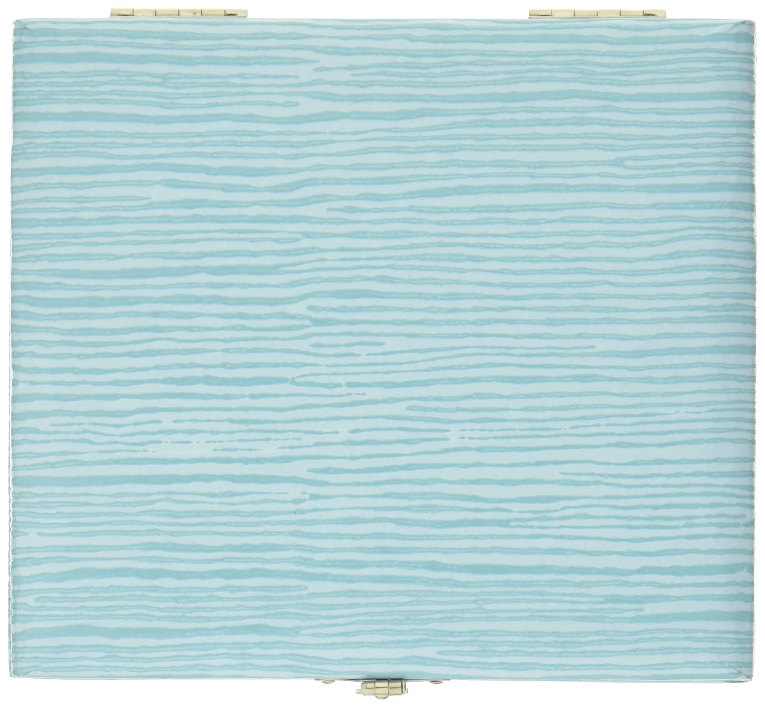 

Vivace Baritone Saxophone Reed Case BX-5 (for 5 reeds) Color: Mint