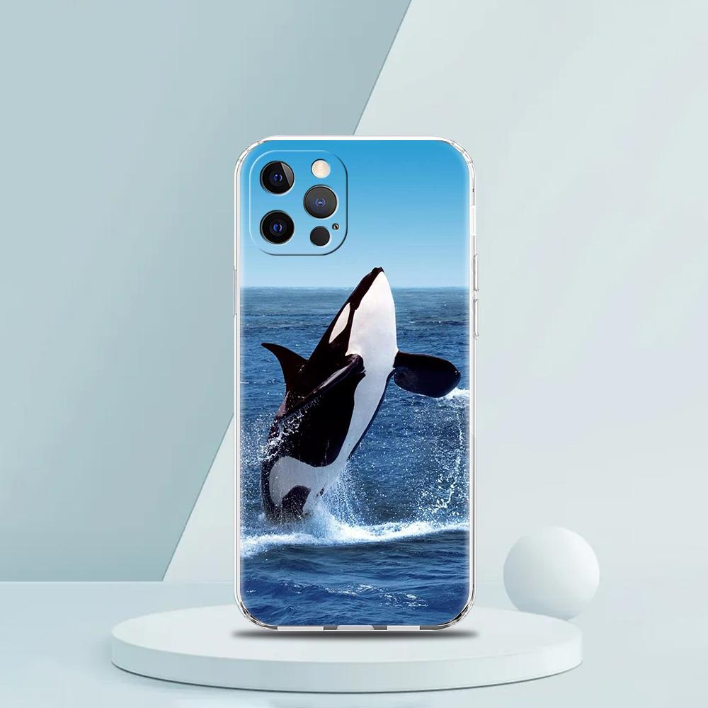 For iPhone 15 16 14 13 12 Mini 11 Pro Max XS X XR SE 7 8 Plus Silicone Clear Cover Orca Ocean Lovely Killer Whale Phone Case