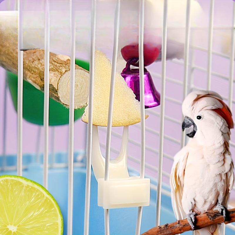 1pcs Pet Birdcage Fruit Fork, Parrot Food Fork, Durable Bird Feeding Accessories, Easy To Clean, Suitable for Birdhouses
