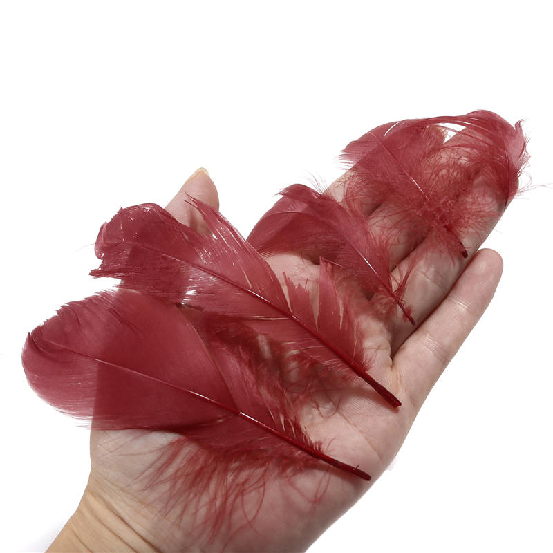Dekoration Lose Federn Natürliche Gänsefeder Bunte Ornamente DIY Zuhause Heimdekor