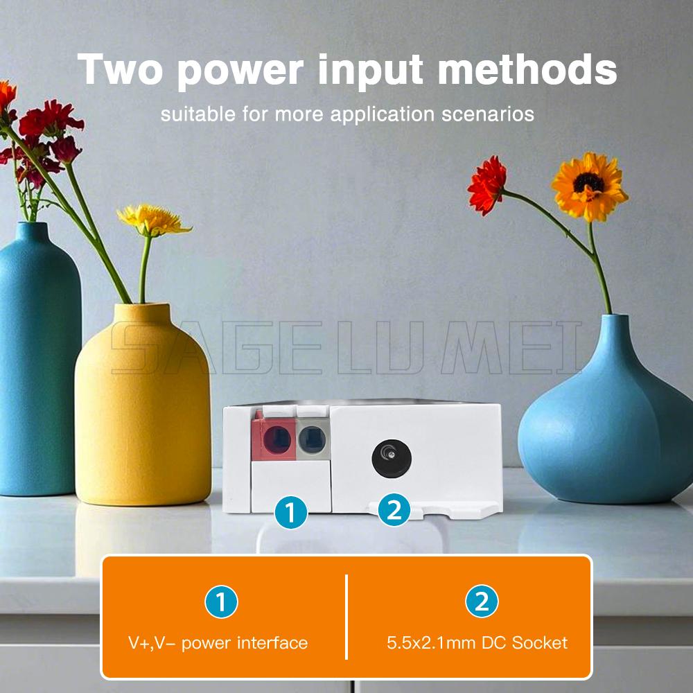 GLEDOPTO RF Pixel LED Controller Dual Color WWCW CCT Dimmer White Light Horse Racing Lighting GL-C-214 Dynamic Wago Connect Port