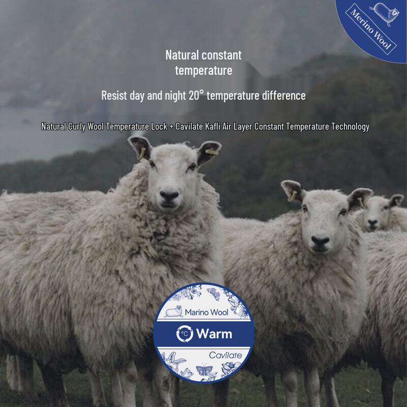 Aimeijia Kafli Merino Wool All-Season Quilt