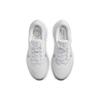 Nike Winflo 10 'White Wolf Grey' Sneakers DV4022-102