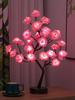 Romantic LED Rose Flower Night Light - USB & Battery Powered Colorful Decorative Tree Branch Desk Lamp.