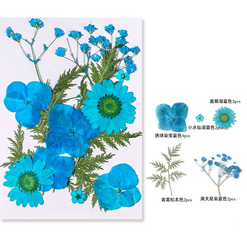 

Dried Flower for DIY Resin Mold Making Fillings Real Natural Pressed Flower Leaves Scrapbooking DIY Art Crafts Nail Art Decor