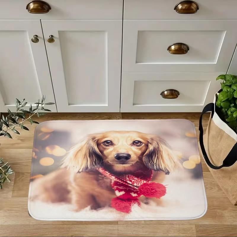 Mini Dachshund Dog Door Mat Decor Animal Pattern Print Rug Living Room Bedroom Entrance Doormat Kitchen Front Non-slip Carpet