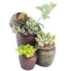 Extra-Large Hanging Succulent Pot: Multi-Diameter Micro-Landscape Decoration