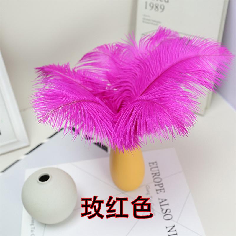 10 STÜCKE 20-25Cm Straußenfeder Bühnenauftritt Feder Handgefertigt DIY Schmuck Dekomaterial Straußenhaar