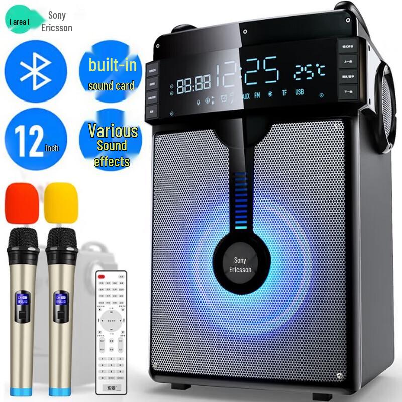 Soaiy T56 Portable Karaoke Speaker