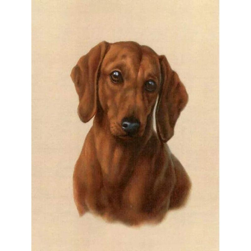 

5D DIY Алмазная картина Собака Полный круглый Алмазная вышивка Животное Мозаика Rhinestone Kit Декор для дома Full Round 20x30CM