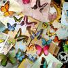Colorful Butterfly Label Glowing Sticker Craft Materials Suitable for Classroom Decorations Party Favors Craft Set